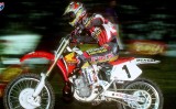 1996 TEAM HONDA GRAPHICS