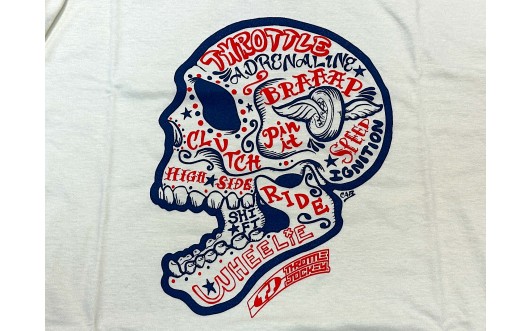 OLD GLORY SKULL TEE