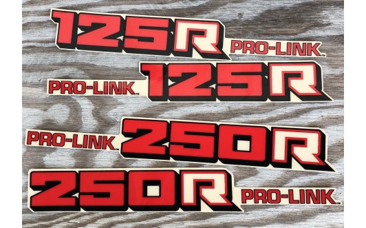 1984 PRO-LINK Swing Arm Decals